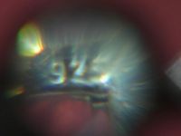 Браслет цепочка серебро 925 пр 7.86 гр дл 21 см