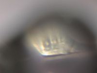 Браслет цепочка серебро 925 пр 11.16 гр дл 21 см