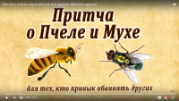 Притча о пчеле и мухе для тех, кто привык обвинять других